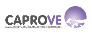 Motivar | caproveArtboard 1.jpg