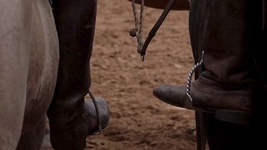 Participarán referentes destacados de la industria, entidades, cabañas y criadores de todo el país.