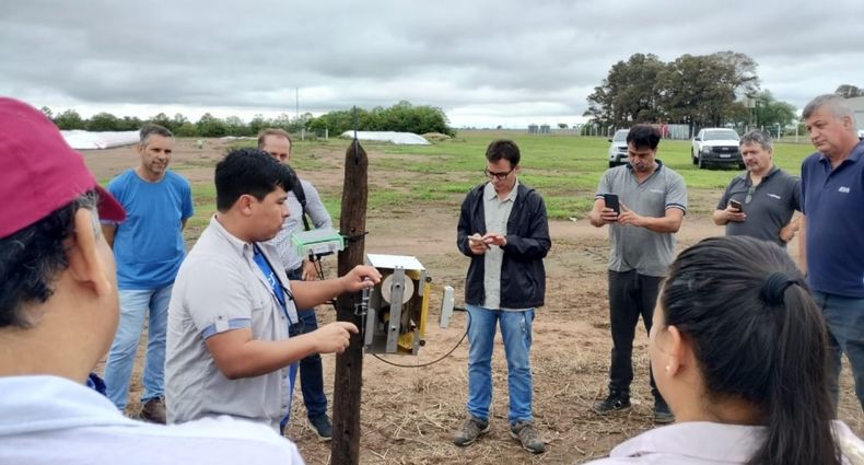 En la visita a campo seobservó el funcionamiento del nuevo prototipo de estación de monitoreoautomático de la chicharrita.