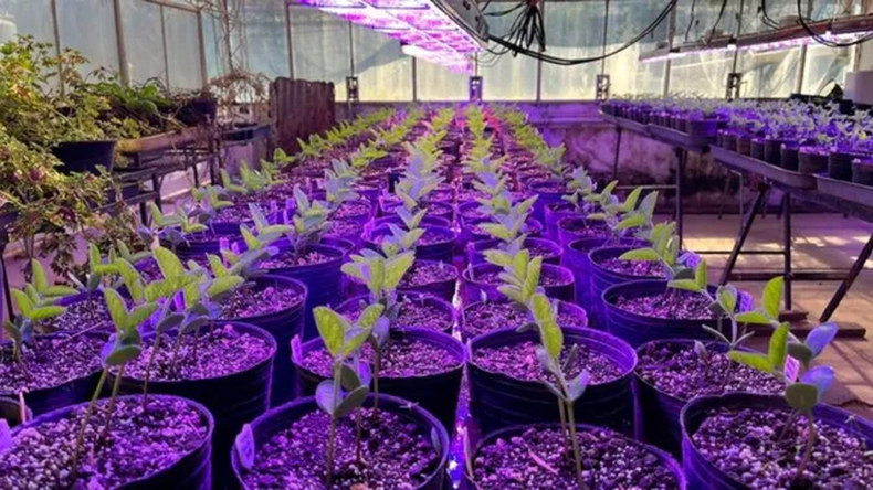 En el marco de este proyecto tecnológico, se firmó un convenio de investigación y desarrollo entre el Conicet , la UNR y GDM Argentina SA.