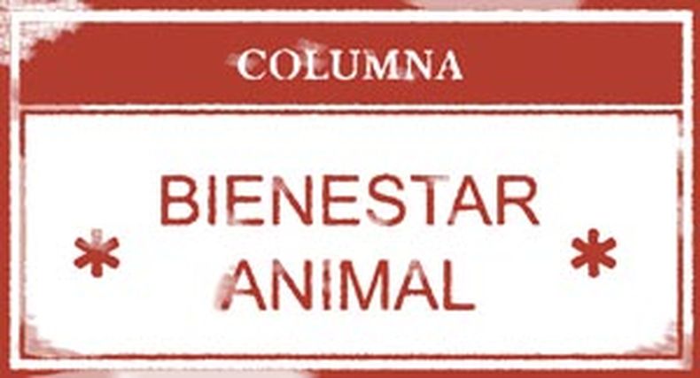sello bienestar animal.jpg