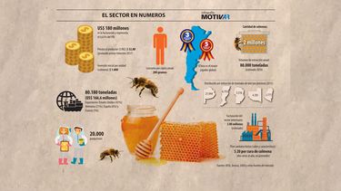 Motivar | Infografia miel final 2.jpg