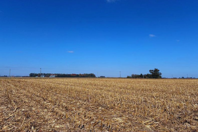 El manejo agrícola es clave para preservar la estructura del suelo y su capacidad de almacenar carbono, pilares de una producción sostenible.