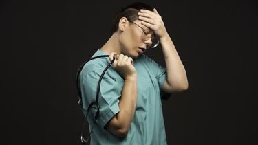 Predomina la violencia verbal: un 81% de los veterinarios encuestados reportó insultos, amenazas e intimidaciones.