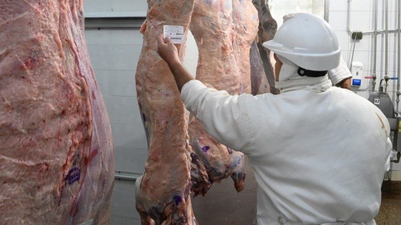 Carnes. La tipificación bovina es una herramienta para agregar valor.